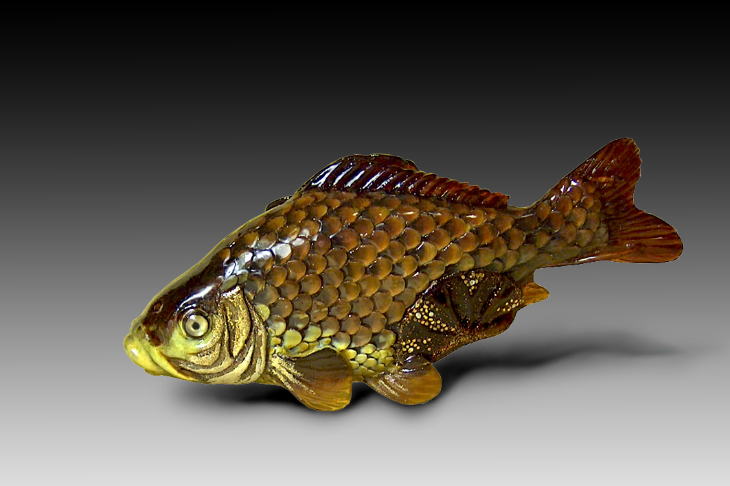 Carp among lotus leaves01